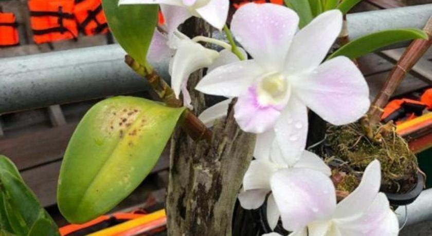 Orchid Lake House Ban Wang Khon Zewnętrze zdjęcie